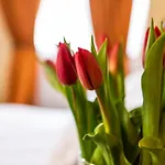 Palac Godetowo Bed & Breakfast Leczyce