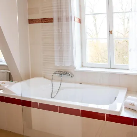 Bed & Breakfast Palac Godetowo Leczyce