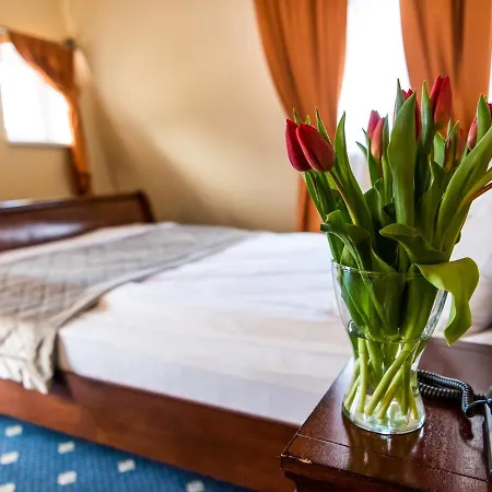 Bed & Breakfast Palac Godetowo