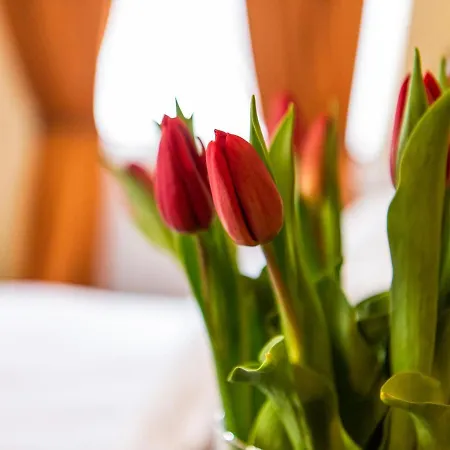 Palac Godetowo Bed & Breakfast Leczyce