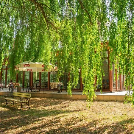 Palac Godetowo 住宿加早餐酒店 3*