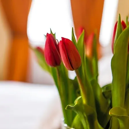 Palac Godetowo Bed & Breakfast 3*