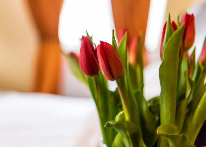 Palac Godetowo Alojamento de Acomodação e Pequeno-almoço Łęzyce